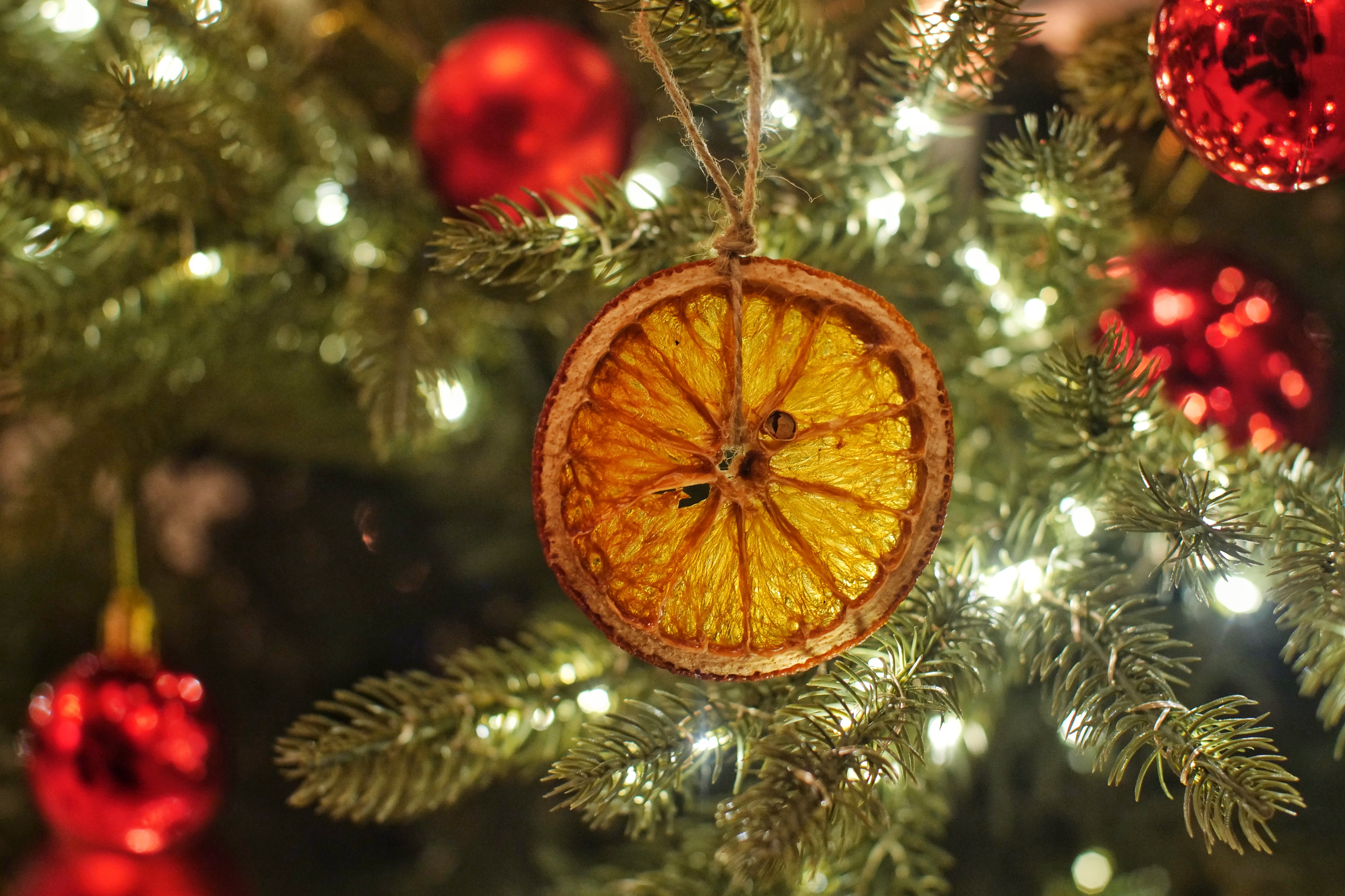 сушеные апельсины