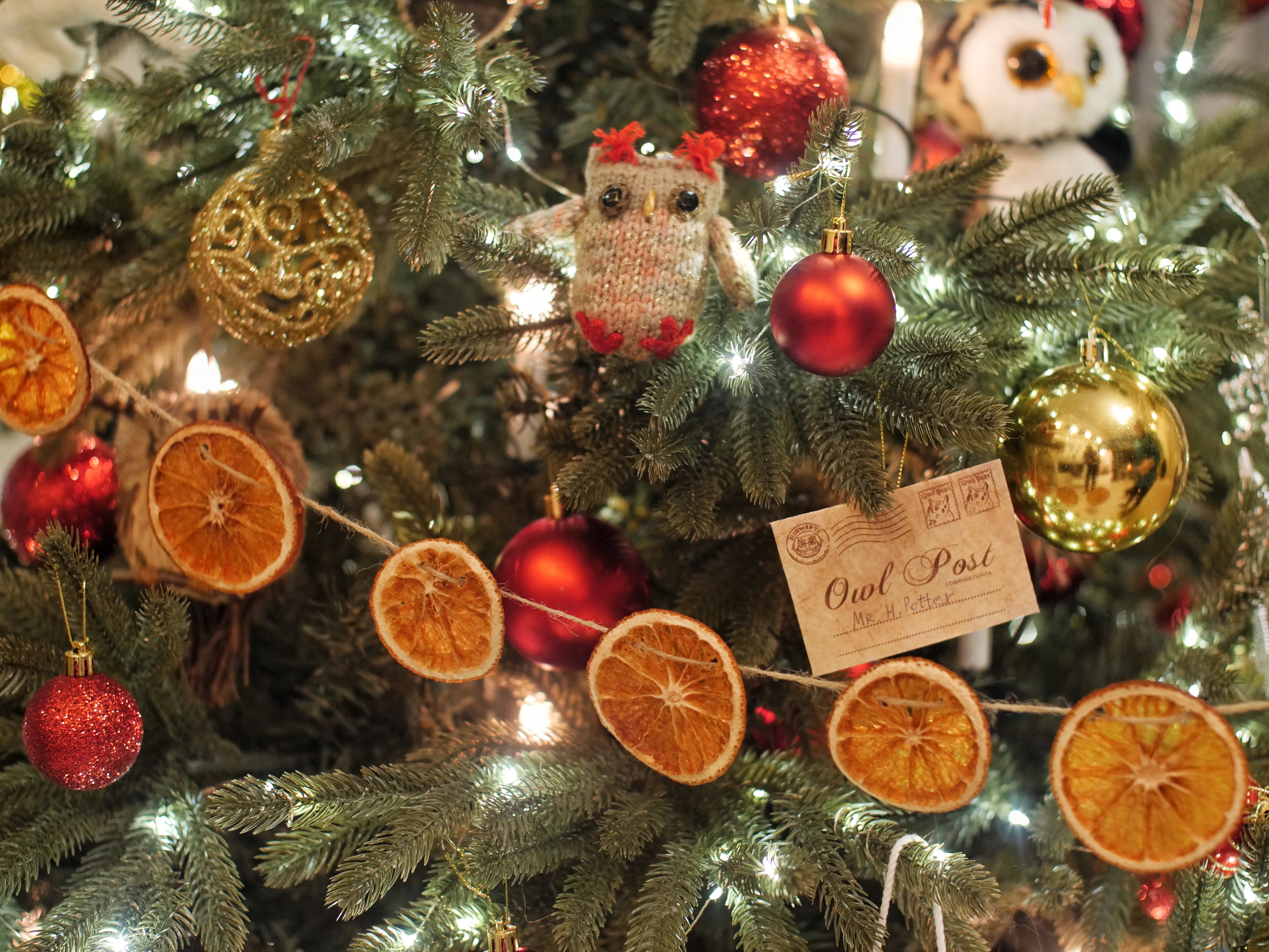 фрипсы из апельсинов