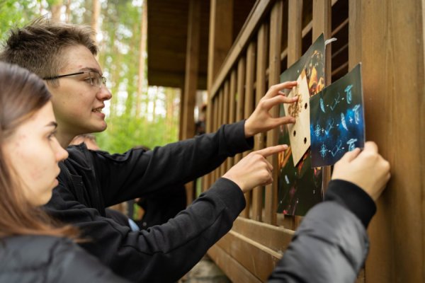 Социальная сеть