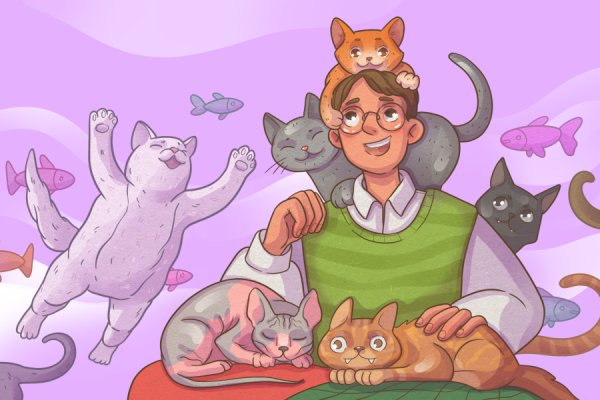 Котики, 10+