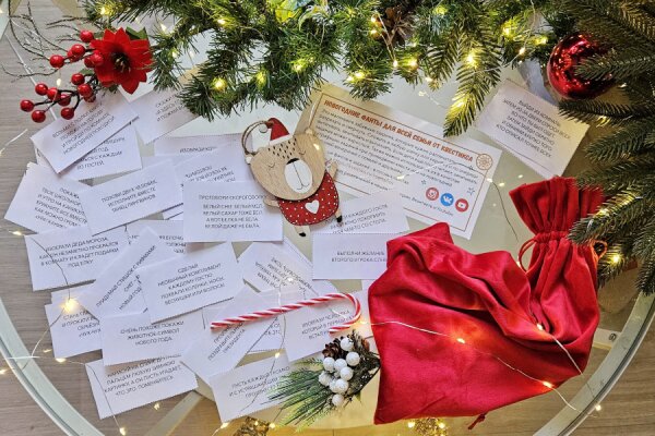 Новогодние семейные фанты