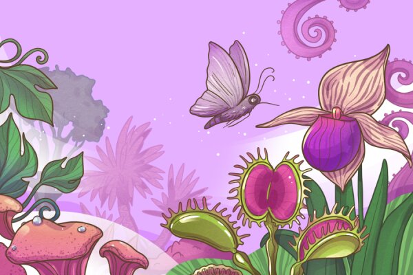Plant world, 15+